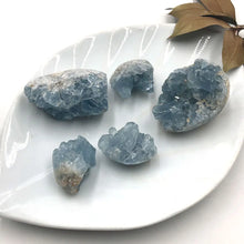 Load image into Gallery viewer, 1PC Random Natural Raw Blue Celestite Crystal Cluster