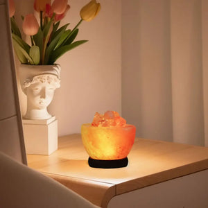 Himalayan Salt Lamp Crystal LED lighting