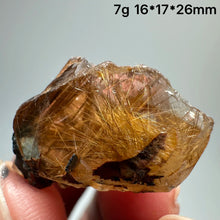 Load image into Gallery viewer, Natural Brazil Gold Rutilated Quartz Hair Crystal and specular hematite symbiosis Mineral Specimen