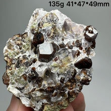 Load image into Gallery viewer, 1PC Natural Dark Brown Andradite Garnet Cluster Raw Crystal Mineral Specimen Home Decor