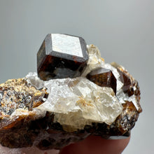Load image into Gallery viewer, 1PC Natural Dark Brown Andradite Garnet Cluster Raw Crystal Mineral Specimen Home Decor