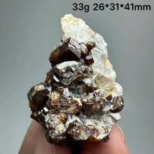 Load image into Gallery viewer, 1PC Natural Dark Brown Andradite Garnet Cluster Raw Crystal Mineral Specimen Home Decor