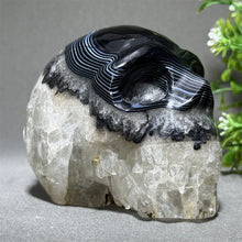 Load image into Gallery viewer, 1PC Natural Black Agate Skull Carving Home Decor