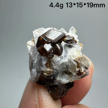 Load image into Gallery viewer, 1PC Natural Dark Brown Andradite Garnet Cluster Raw Crystal Mineral Specimen Home Decor