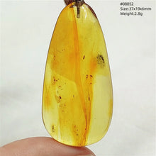 Load image into Gallery viewer, Natural Baltic Amber Teardrop Pendant – Premium Genuine Yellow Amber Necklace Gift