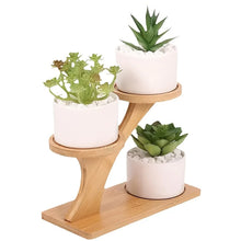 Load image into Gallery viewer, Bamboo Crystal Display Stand – 2 Tier Desktop Shelf Organizer for Crystals, Minerals &amp; Home Decor Collection