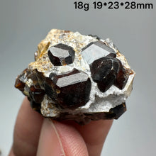 Load image into Gallery viewer, 1PC Natural Dark Brown Andradite Garnet Cluster Raw Crystal Mineral Specimen Home Decor