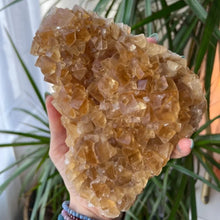 Load image into Gallery viewer, 1PC Large High Quality Citrine Cluster Calcite Flower-like Structure