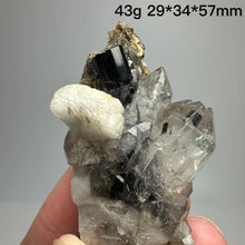 Load image into Gallery viewer, Natural Tanzania Black Tourmaline Mineral Specimen