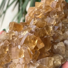 Load image into Gallery viewer, 1PC Large High Quality Citrine Cluster Calcite Flower-like Structure