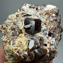 Load image into Gallery viewer, 1PC Natural Dark Brown Andradite Garnet Cluster Raw Crystal Mineral Specimen Home Decor