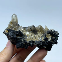 Load image into Gallery viewer, Natural Namibia Black Tourmaline with Clear Quartz Mineral Specimen for Healing