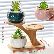 Load image into Gallery viewer, Bamboo Crystal Display Stand – 2 Tier Desktop Shelf Organizer for Crystals, Minerals &amp; Home Decor Collection