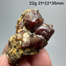 Load image into Gallery viewer, 1PC Natural Dark Brown Andradite Garnet Cluster Raw Crystal Mineral Specimen Home Decor