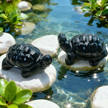 Load image into Gallery viewer, 1PC Obsidian Tortoise Carving
