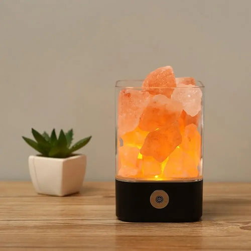 Himalayan Salt Lamp Night Light Negative Ion Air Purification Sleep Aid