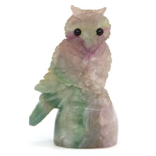 Load image into Gallery viewer, 3" Owl Statue Natural Fluorite Crystal Carving Home Decor