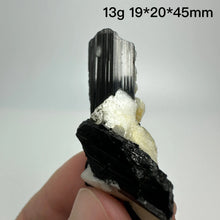 Load image into Gallery viewer, Natural Tanzania Black Tourmaline Mineral Specimen