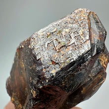 Load image into Gallery viewer, 1PC Natural Dark Brown Andradite Garnet Cluster Raw Crystal Mineral Specimen Home Decor
