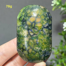 Load image into Gallery viewer, 1PC Natural Dragon Pattern Agate Palm Stone Polished