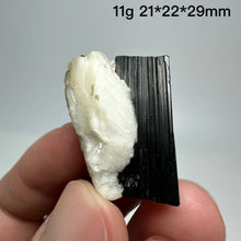 Load image into Gallery viewer, Natural Tanzania Black Tourmaline Mineral Specimen