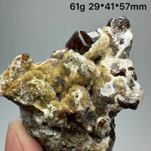 Load image into Gallery viewer, 1PC Natural Dark Brown Andradite Garnet Cluster Raw Crystal Mineral Specimen Home Decor