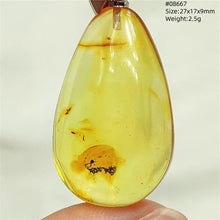 Load image into Gallery viewer, Natural Baltic Amber Teardrop Pendant – Premium Genuine Yellow Amber Necklace Gift