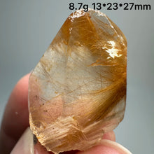 Load image into Gallery viewer, Natural Brazil Gold Rutilated Quartz Hair Crystal and specular hematite symbiosis Mineral Specimen