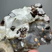 Load image into Gallery viewer, 1PC Natural Dark Brown Andradite Garnet Cluster Raw Crystal Mineral Specimen Home Decor