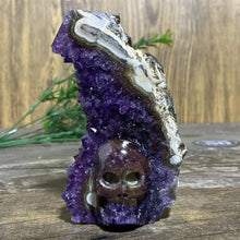 Load image into Gallery viewer, Natural Druzy Amethyst Skull Stone Quartz Specimen