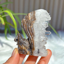 Load image into Gallery viewer, 1PC Natural Clear Quartz Squirrel Statue Crystal Carving Home Decor