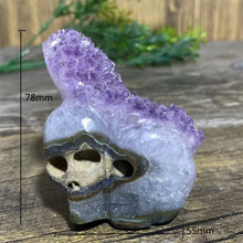 Load image into Gallery viewer, Natural Druzy Amethyst Skull Stone Quartz Specimen