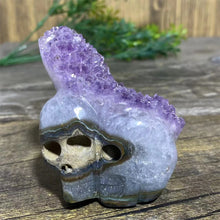 Load image into Gallery viewer, Natural Druzy Amethyst Skull Stone Quartz Specimen