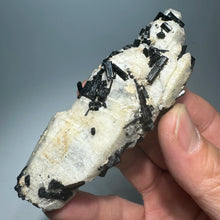 Load image into Gallery viewer, Natural Madagascar Black Tourmaline Mineral Specimen with Clear Quartz for Healing