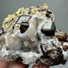 Load image into Gallery viewer, 1PC Natural Dark Brown Andradite Garnet Cluster Raw Crystal Mineral Specimen Home Decor