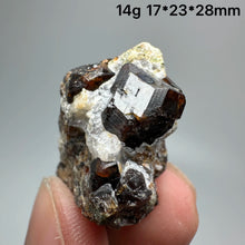 Load image into Gallery viewer, 1PC Natural Dark Brown Andradite Garnet Cluster Raw Crystal Mineral Specimen Home Decor