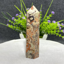 Load image into Gallery viewer, 1PC Natural Money Agate Obelisk for Healing