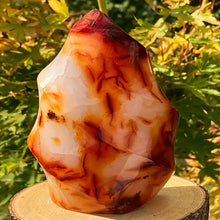 Load image into Gallery viewer, 1PC Natural Carnelian Crystal Quartz Flame Specimen Home Decor