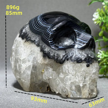 Load image into Gallery viewer, 1PC Natural Black Agate Skull Carving Home Decor