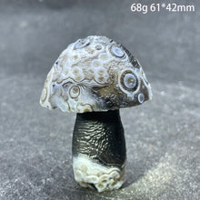 Load image into Gallery viewer, Natural Sardonyx Agate Alxa Gobi Eye Mushroom Mineral Specimen