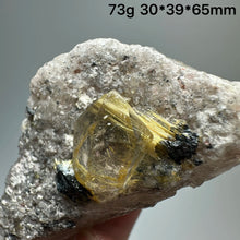 Load image into Gallery viewer, 1PC Natural Brazilian Gold Rutilated Quartz Crystal and Hematite Symbiosis Mineral Specimen Home Decor