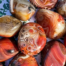 Load image into Gallery viewer, Natural Sardonyx Agate Palm Stone Specimen Polished