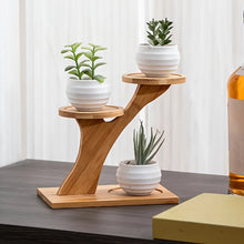 Load image into Gallery viewer, Bamboo Crystal Display Stand – 2 Tier Desktop Shelf Organizer for Crystals, Minerals &amp; Home Decor Collection