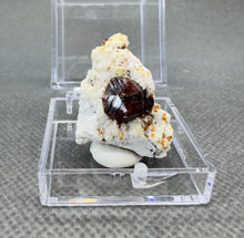 Load image into Gallery viewer, Natural Florescent Hyalite and Garnet Symbiosis Mineral Specimen
