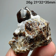 Load image into Gallery viewer, 1PC Natural Dark Brown Andradite Garnet Cluster Raw Crystal Mineral Specimen Home Decor