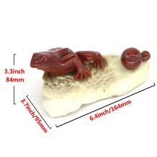 Load image into Gallery viewer, 6.4" Frog Natural India Agate Crystal Carving Home Decor
