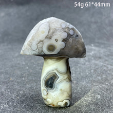 Load image into Gallery viewer, Natural Sardonyx Agate Alxa Gobi Eye Mushroom Mineral Specimen