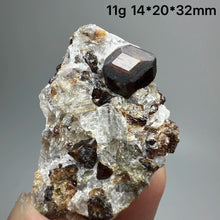 Load image into Gallery viewer, 1PC Natural Dark Brown Andradite Garnet Cluster Raw Crystal Mineral Specimen Home Decor