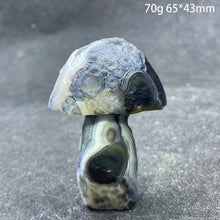 Load image into Gallery viewer, Natural Sardonyx Agate Alxa Gobi Eye Mushroom Mineral Specimen