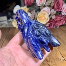 Load image into Gallery viewer, 4" Natural Sodalite Dragon Skull Carving
